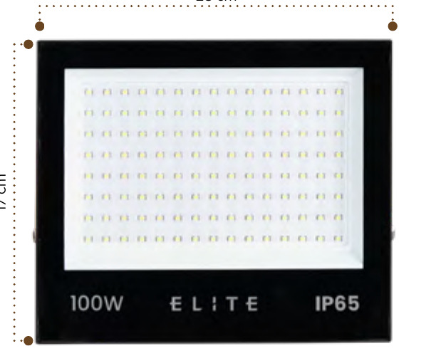REFLECTOR 100W ELITE 6500K