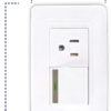 INTERRUPTOR +TOMA MERCURY