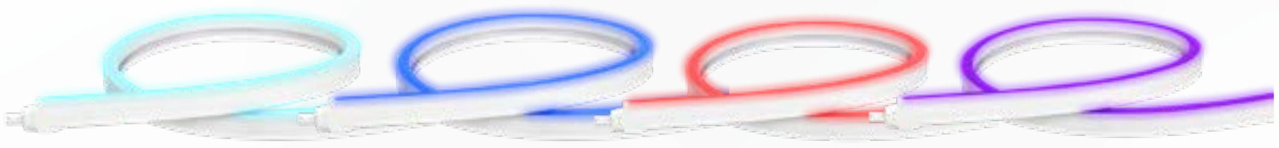 NEONFLEX CINTA LED ZAFIRO 12V PURPURA 5M/ROLLO IP65/